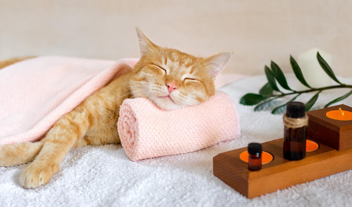 stemrelaxatie Stemklank stemrelaxatie